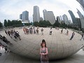 Chicago Art Museum 2010 0360